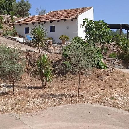 Morales Cottage Almogía المظهر الخارجي الصورة